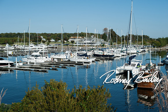 Chesapeake-Bay-Beach-Club-Wedding