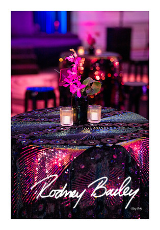 0758_1-11-25_Paul-50th-Birthday-Celebration-Renwick-Gallery-Washington-DC-Rodney-Bailey-Photography