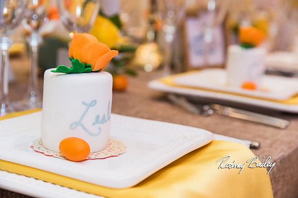 0098__3-1-15_Capital Bridal Affair and Fashion Show_The Mayflower Renaissance_Washington DC_Wedding Photography by Rodney Bailey