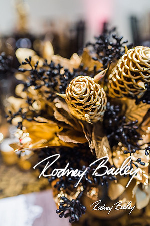 4-25-14 CORCORAN BALL DECOR_Rodney Bailey Photography_EventPhotojournalism_0662