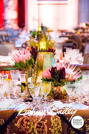 Host-Your-Event-at-the-Smithsonian-Washington-DC-event-photographers-Event-Photojournalism-photography__0093