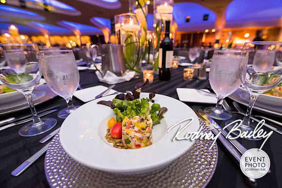 Washington-Hilton-Hotel-Gala-Washington-Hilton-event-photos-photographers__0036