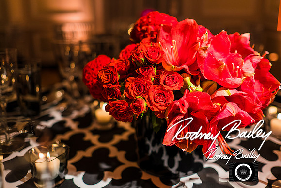 0067__10-17-14 MERIDIAN BALL_RODNEY BAILEY PHOTOGRAPHY_Meridian House Washington DC