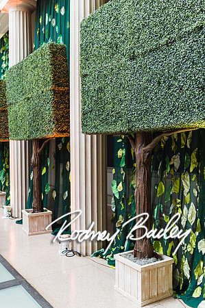 4-25-14 CORCORAN BALL DECOR_Rodney Bailey Photography_EventPhotojournalism_0256