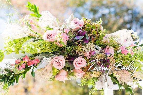 0127_10-26-14_The Atrium at Meadowlark Gardens Wedding_ Open House_Rodney Bailey Photography