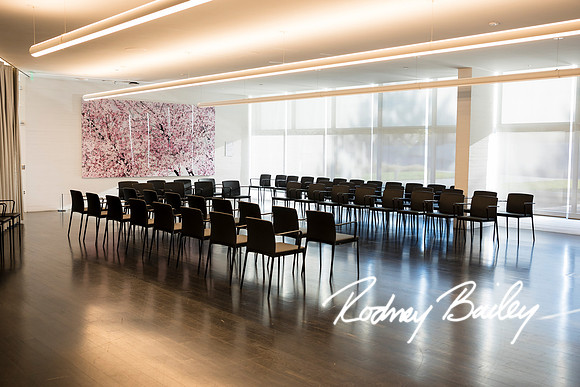 northern-Virginia-Conference-photographers-Rodney-Bailey-Photography__0071