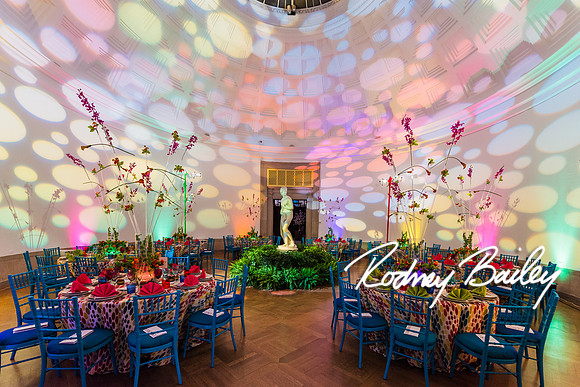 4-25-14 CORCORAN BALL DECOR_Rodney Bailey Photography_EventPhotojournalism_0624