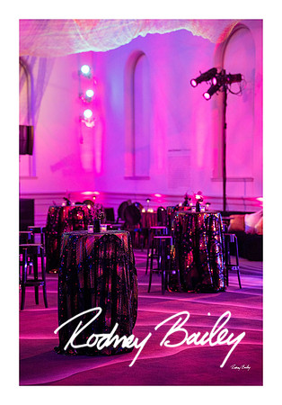 0819_1-11-25_Paul-50th-Birthday-Celebration-Renwick-Gallery-Washington-DC-Rodney-Bailey-Photography