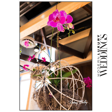 Modern-Luxury-Weddings-Bridal-Event-at-District-Winery-DC-Wedding-Photojournalism-by-Rodney-Bailey Evening of Bridal Luxury