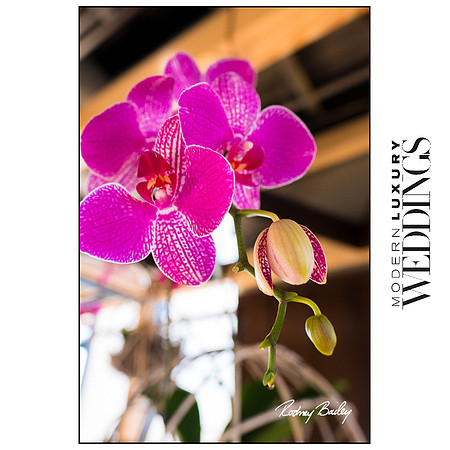 Modern-Luxury-Weddings-Bridal-Event-at-District-Winery-DC-Wedding-Photojournalism-by-Rodney-Bailey Evening of Bridal Luxury
