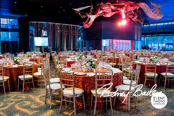 Host-Your-Event-at-the-Smithsonian-Washington-DC-event-photographers-Event-Photojournalism-photography__0019