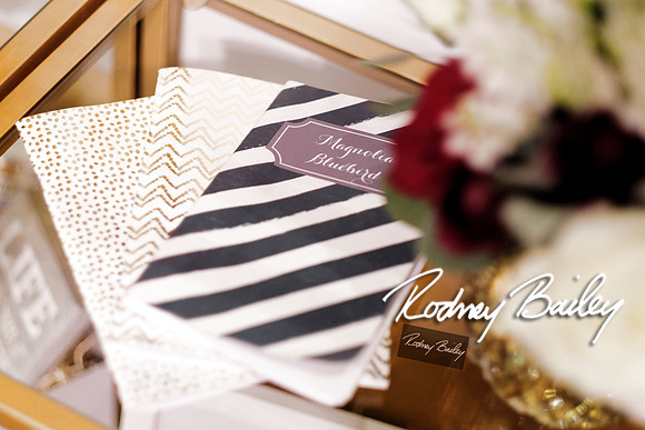 0094_3-1-15_ C a p i t a l   B r i d a l   A f f a i r  &  F a s h i o n   S h o w_Rodney Bailey Wedding Photography Washington DC_Mayflower Hotel DC