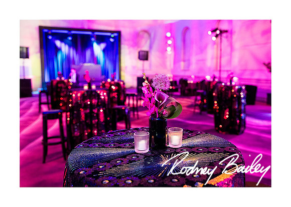 0780_1-11-25_Paul-50th-Birthday-Celebration-Renwick-Gallery-Washington-DC-Rodney-Bailey-Photography