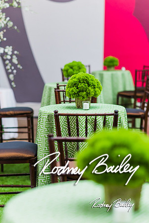 4-25-14 CORCORAN BALL DECOR_Rodney Bailey Photography_EventPhotojournalism_0482