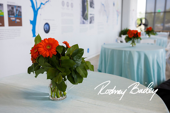 0084__6-21-25_Mark-Schramek-Kevin-Tarpey-wedding-HQO-events-DC-Rodney-Bailey-Photography