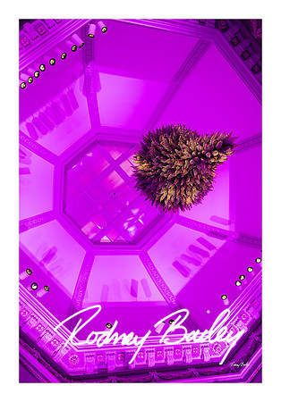 0824_1-11-25_Paul-50th-Birthday-Celebration-Renwick-Gallery-Washington-DC-Rodney-Bailey-Photography