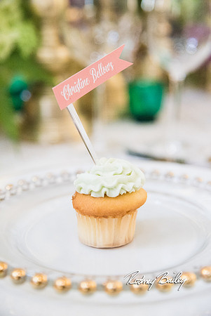 0081__3-1-15_Capital Bridal Affair and Fashion Show_The Mayflower Renaissance_Washington DC_Wedding Photography by Rodney Bailey