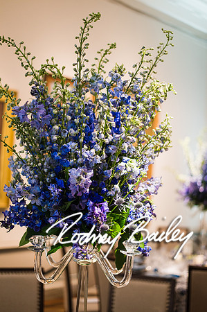 4-25-14 CORCORAN BALL DECOR_Rodney Bailey Photography_EventPhotojournalism_0262