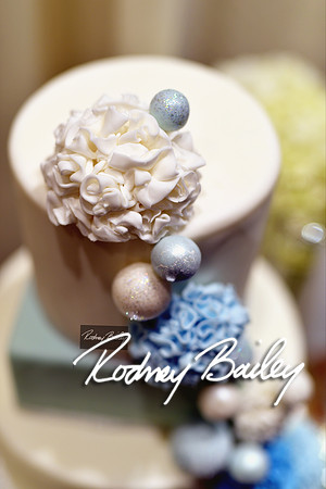 0149_3-1-15_ C a p i t a l   B r i d a l   A f f a i r  &  F a s h i o n   S h o w_Rodney Bailey Wedding Photography Washington DC_Mayflower Hotel DC