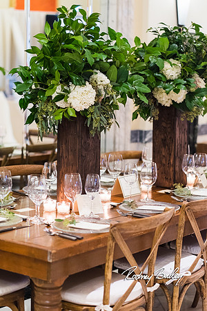 0256__3-1-15_Capital Bridal Affair and Fashion Show_The Mayflower Renaissance_Washington DC_Wedding Photography by Rodney Bailey
