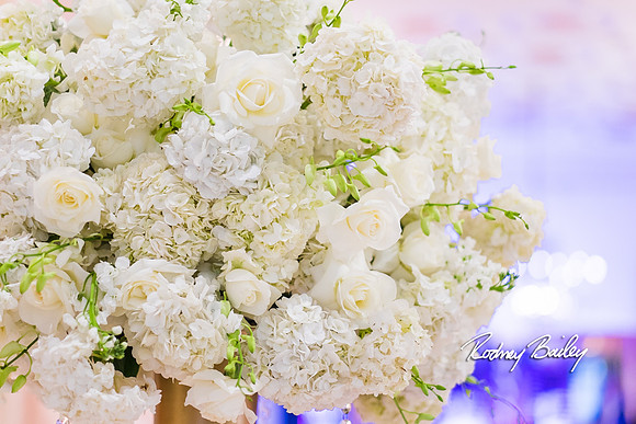 0223__3-1-15_Capital Bridal Affair and Fashion Show_The Mayflower Renaissance_Washington DC_Wedding Photography by Rodney Bailey
