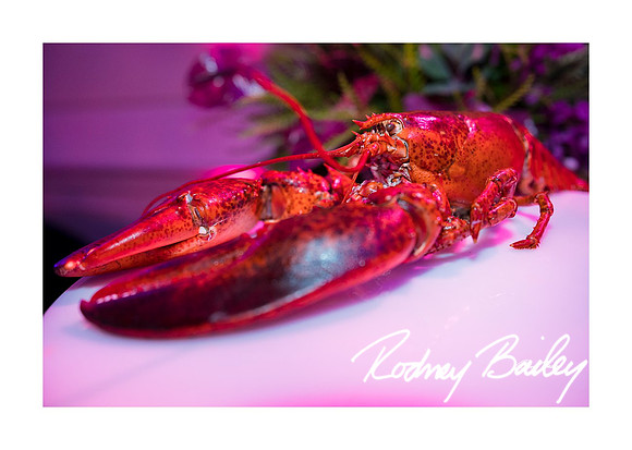 0895_1-11-25_Paul-50th-Birthday-Celebration-Renwick-Gallery-Washington-DC-Rodney-Bailey-Photography