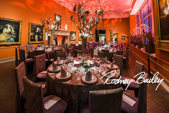 4-25-14 CORCORAN BALL DECOR_Rodney Bailey Photography_EventPhotojournalism_0604