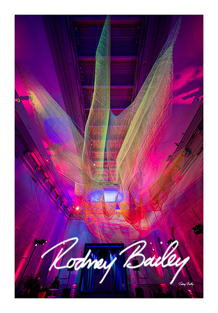 0897_1-11-25_Paul-50th-Birthday-Celebration-Renwick-Gallery-Washington-DC-Rodney-Bailey-Photography