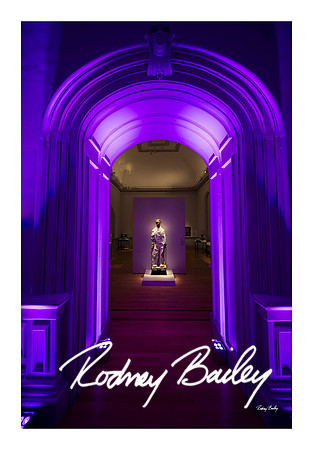0921_1-11-25_Paul-50th-Birthday-Celebration-Renwick-Gallery-Washington-DC-Rodney-Bailey-Photography
