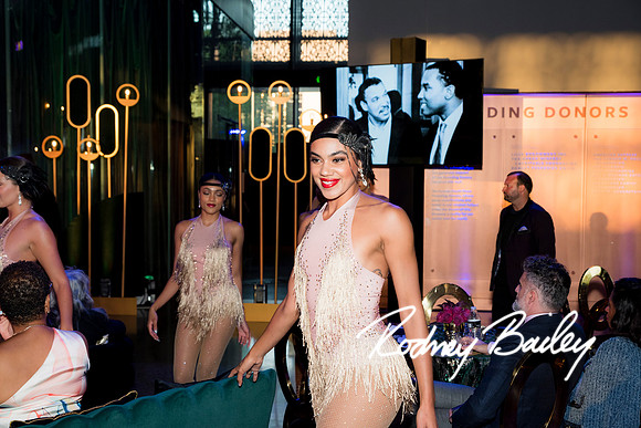 0506__8-2-25_Damien-Dwin-Celebration-National-Museum-of-African-American-Museum-Washington-DC-event-Rodney-Bailey-Photography