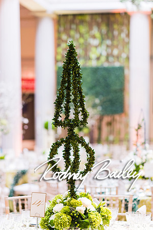 4-25-14 CORCORAN BALL DECOR_Rodney Bailey Photography_EventPhotojournalism_0247