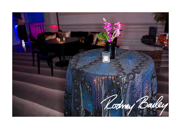 0799_1-11-25_Paul-50th-Birthday-Celebration-Renwick-Gallery-Washington-DC-Rodney-Bailey-Photography