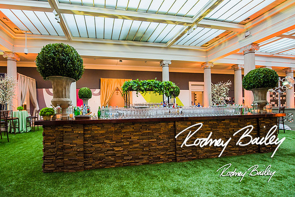 4-25-14 CORCORAN BALL DECOR_Rodney Bailey Photography_EventPhotojournalism_0668