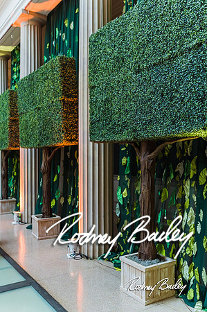 4-25-14 CORCORAN BALL DECOR_Rodney Bailey Photography_EventPhotojournalism_0362