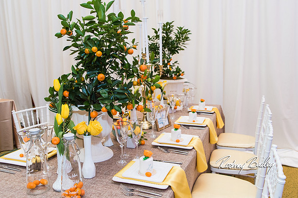 0099__3-1-15_Capital Bridal Affair and Fashion Show_The Mayflower Renaissance_Washington DC_Wedding Photography by Rodney Bailey