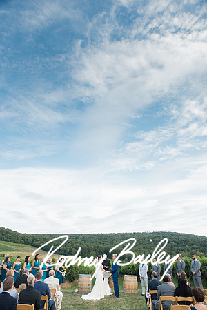 wedding-photographers-Washington-DC-Virginia-Maryland