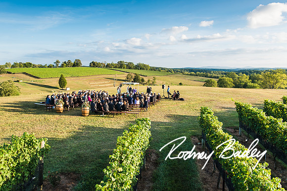 wedding-photographers-Washington-DC-Virginia-Maryland
