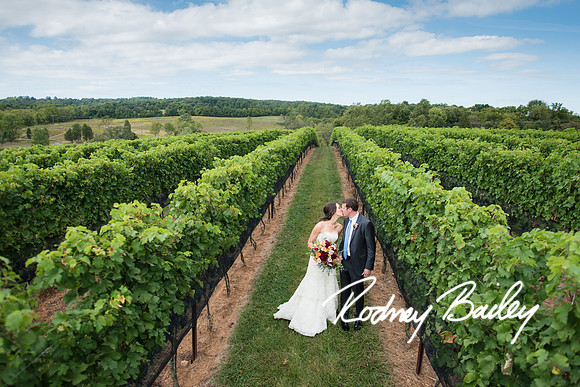 wedding-photographers-Washington-DC-Virginia-Maryland