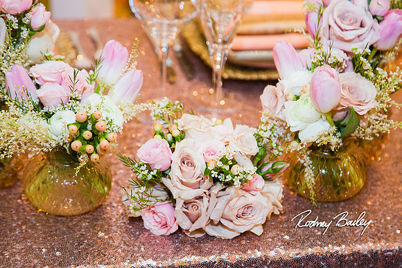 0100__3-1-15_Capital Bridal Affair and Fashion Show_The Mayflower Renaissance_Washington DC_Wedding Photography by Rodney Bailey