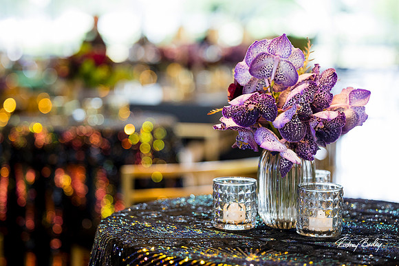 National-Museum-of-African-American-Museum-Washington-DC-event-photos-Rodney-Bailey-Photography__0076