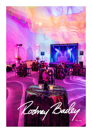 0805_1-11-25_Paul-50th-Birthday-Celebration-Renwick-Gallery-Washington-DC-Rodney-Bailey-Photography