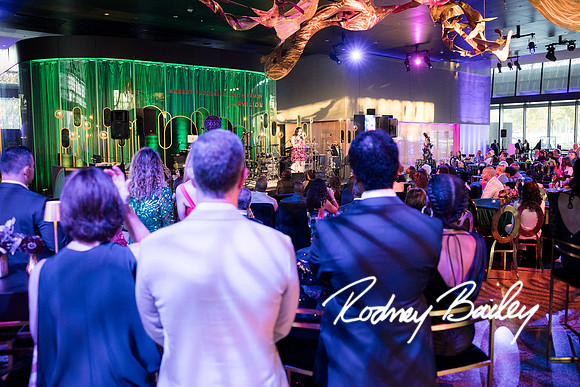 0546__8-2-25_Damien-Dwin-Celebration-National-Museum-of-African-American-Museum-Washington-DC-event-Rodney-Bailey-Photography