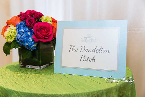 0084__3-1-15_Capital Bridal Affair and Fashion Show_The Mayflower Renaissance_Washington DC_Wedding Photography by Rodney Bailey