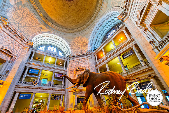Host-Your-Event-at-the-Smithsonian-Washington-DC-event-photographers-Event-Photojournalism-photography__0050