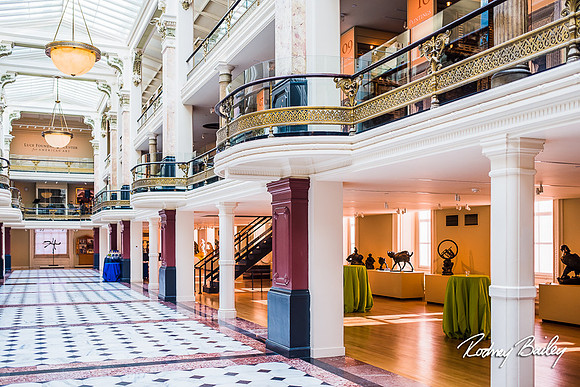 Host-Your-Event-at-the-Smithsonian-Washington-DC-event-photographers-Rodney-Bailey-photography__0008