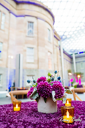 Host-Your-Event-at-the-Smithsonian-Washington-DC-event-photographers-Rodney-Bailey-photography__0012