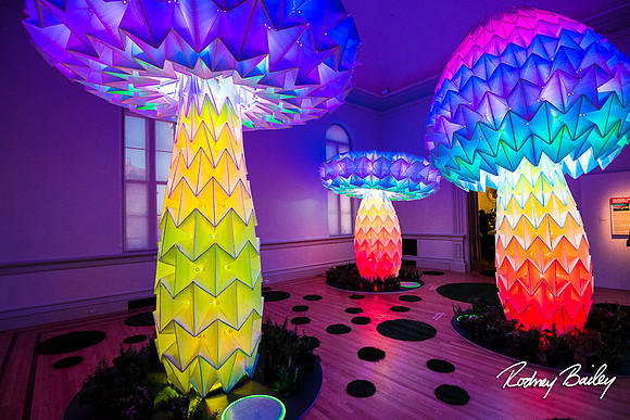 Host-Your-Event-at-the-Smithsonian-Washington-DC-event-photographers-Rodney-Bailey-photography__0036