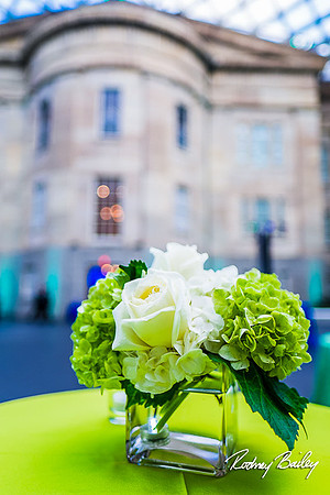 Host-Your-Event-at-the-Smithsonian-Washington-DC-event-photographers-Rodney-Bailey-photography__0042