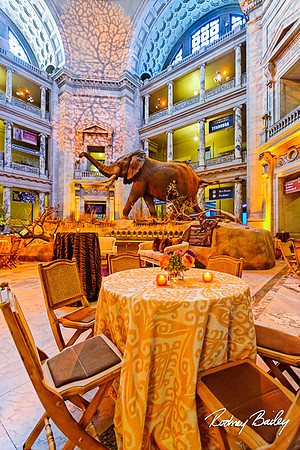 Host-Your-Event-at-the-Smithsonian-Washington-DC-event-photographers-Rodney-Bailey-photography__0044