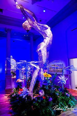 Host-Your-Event-at-the-Smithsonian-Washington-DC-event-photographers-Rodney-Bailey-photography__0047